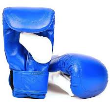 Muay Thai Bag Gloves